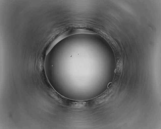 X0000113000474200908271351