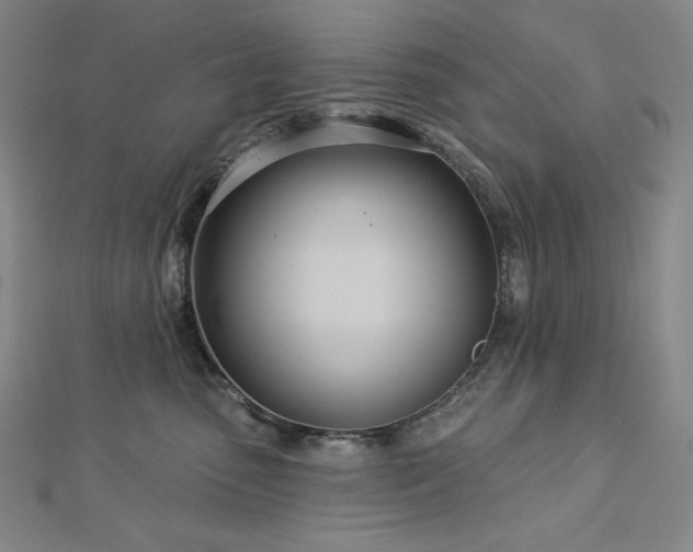 X0000113000475200908271351