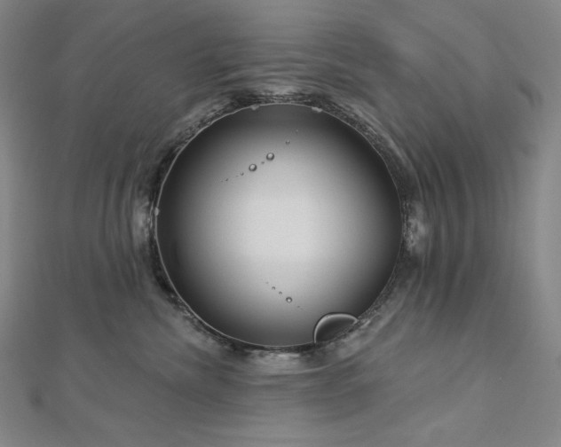 X0000113000476200908271351
