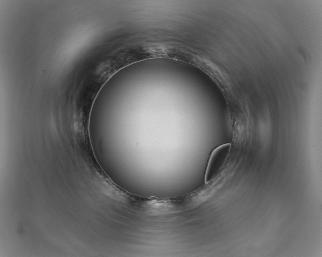 X0000113000477200908271351
