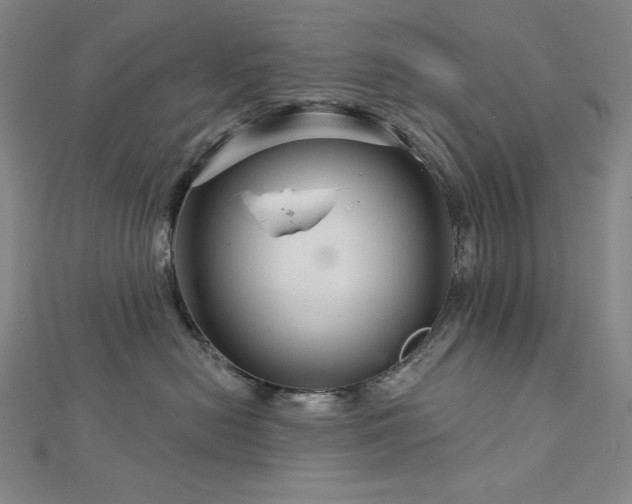 X0000113000478200908271351