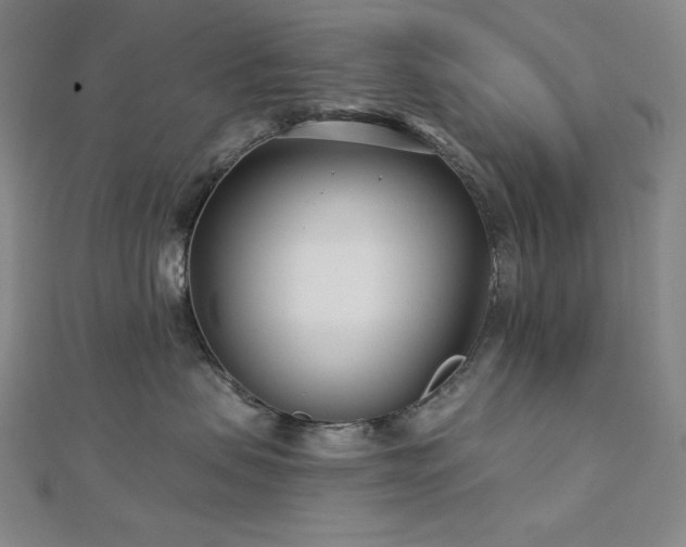 X0000113000479200908271351