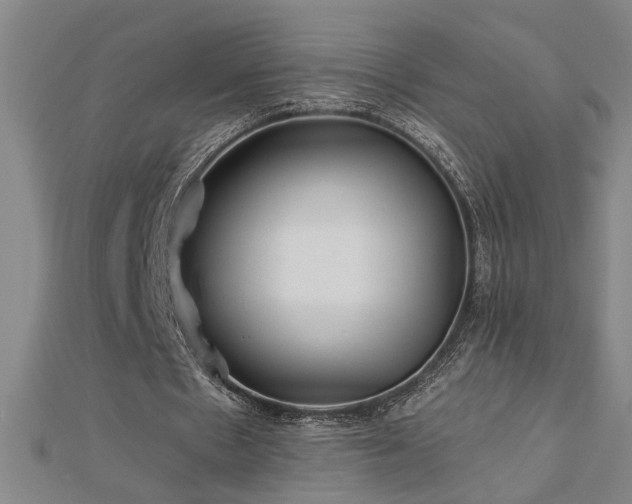 X0000113000481200908271351