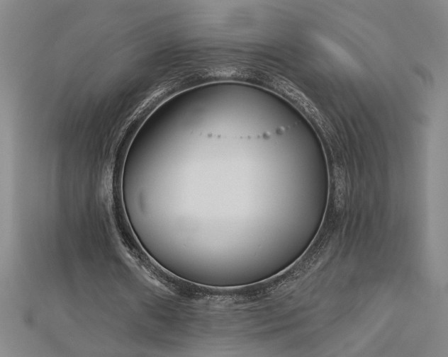 X0000113000482200908271351