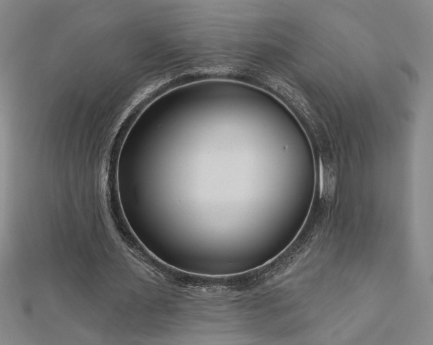 X0000113000483200908271351