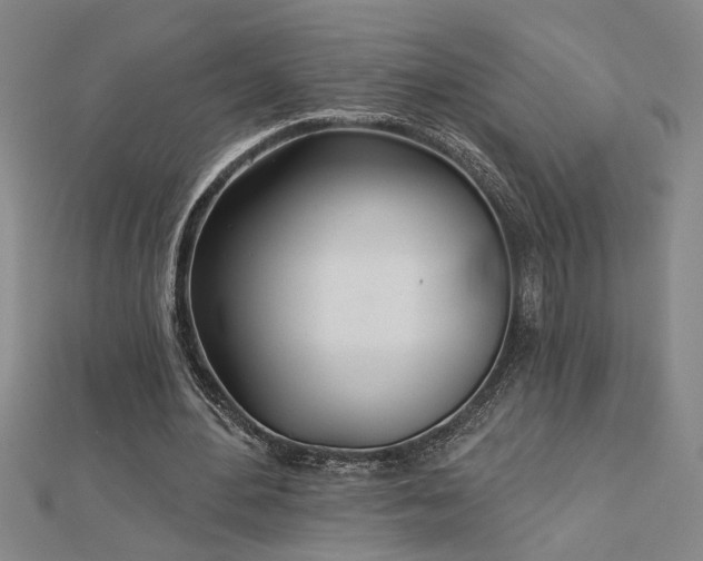 X0000113000484200908271351