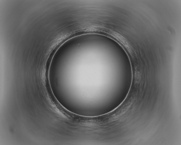 X0000113000485200908271351