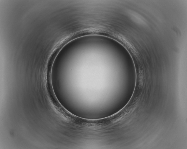 X0000113000486200908271351