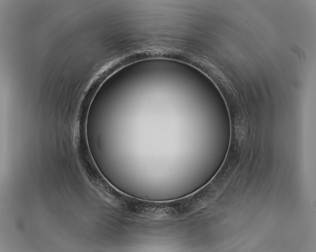 X0000113000488200908271351
