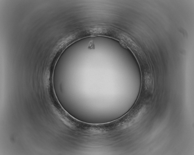 X0000113000490200908271350