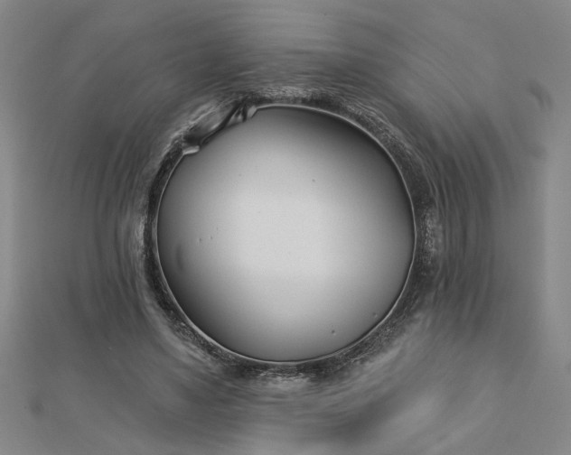 X0000113000491200908271350