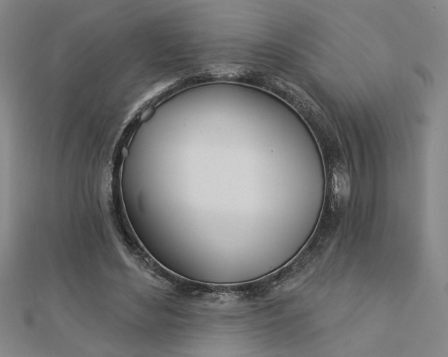 X0000113000492200908271350
