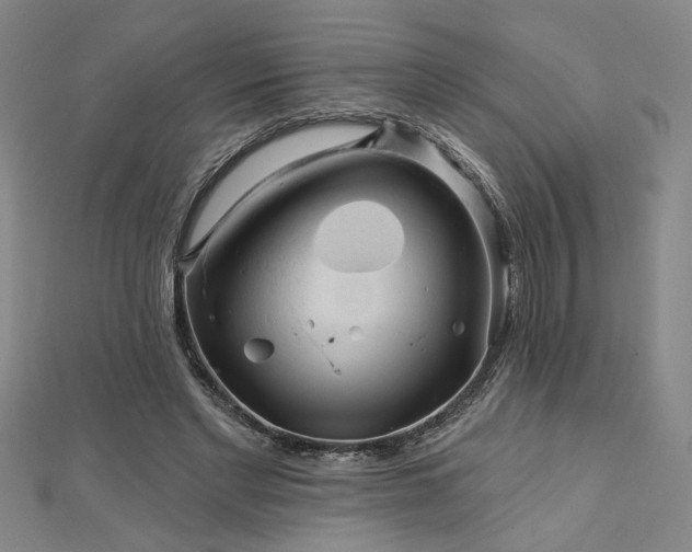 X0000113000493200908271350