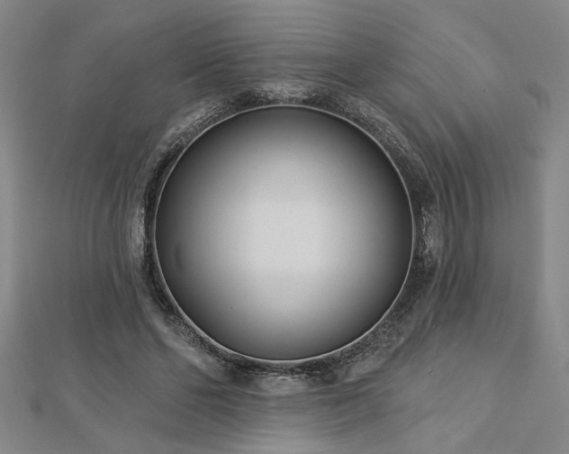 X0000113000494200908271350