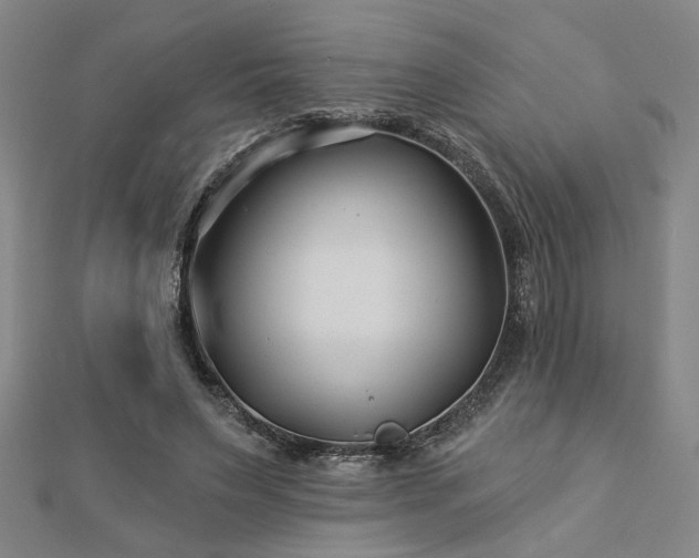 X0000113000495200908271350