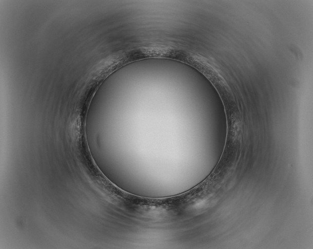 X0000113000498200908271350