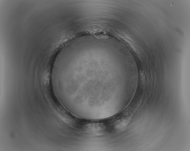 X0000113000499200908271350