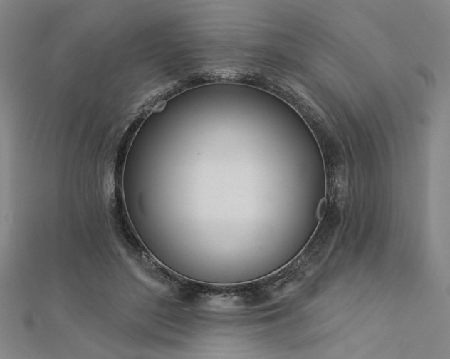 X0000113000500200908271350