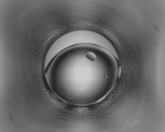 X0000113000501200908271350