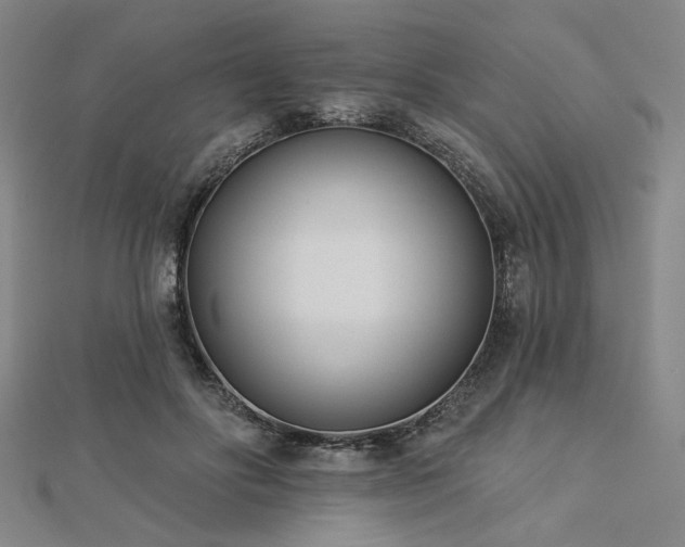 X0000113000502200908271350