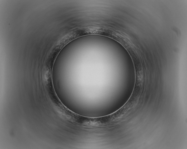 X0000113000503200908271350