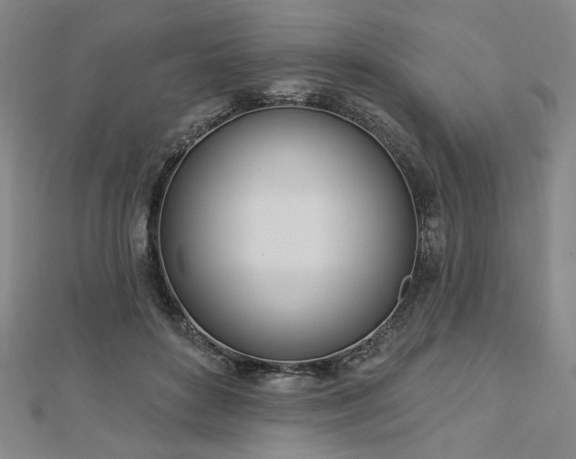 X0000113000504200908271350