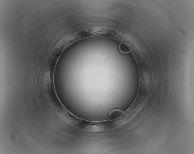 X0000113000506200908271350