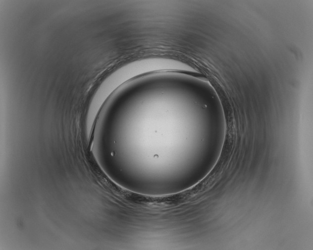 X0000113000508200908271350
