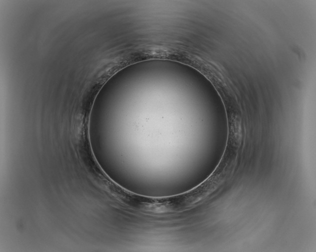 X0000113000511200908271350