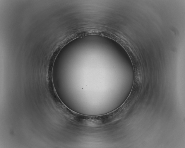 X0000113000512200908271350