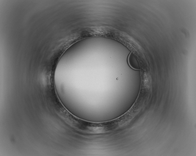 X0000113000514200908271350
