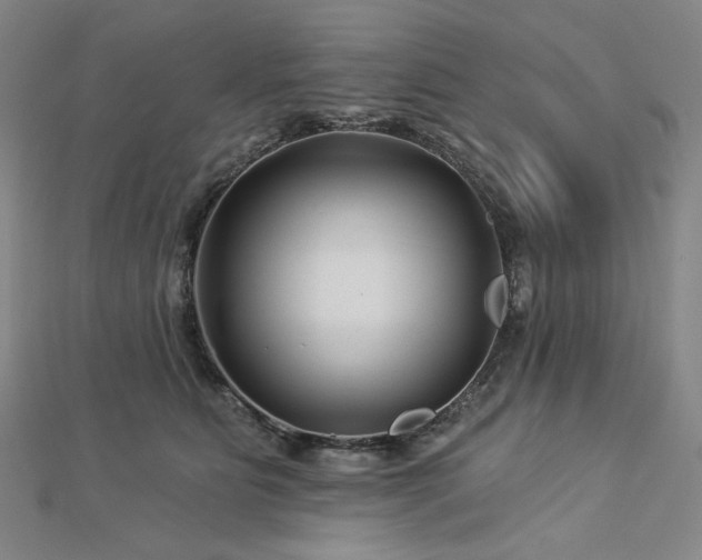 X0000113000515200908271350