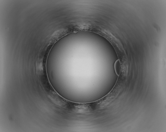 X0000113000516200908271350