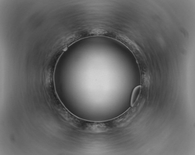 X0000113000517200908271350