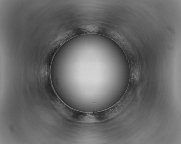 X0000113000518200908271350