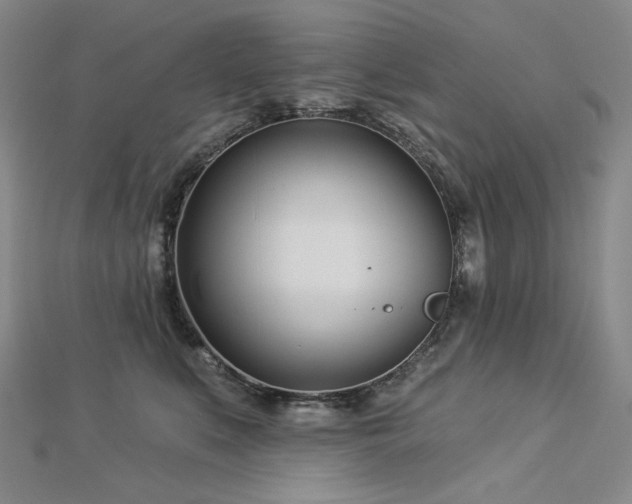 X0000113000519200908271350