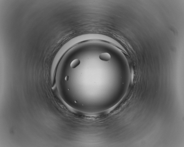 X0000113000521200908271350