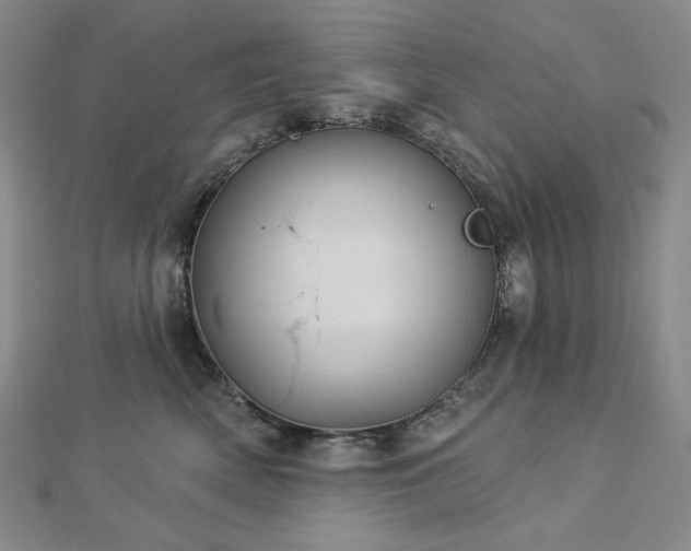 X0000113000522200908271350