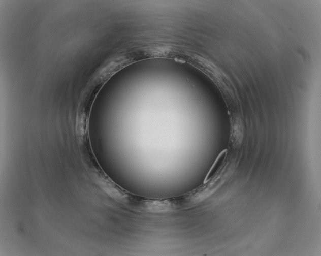 X0000113000525200908271350