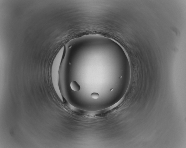 X0000113000528200908271350