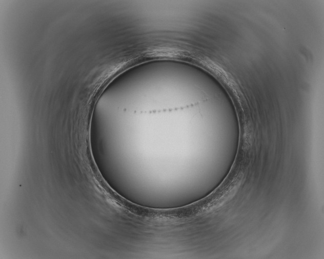 X0000113000529200908271349