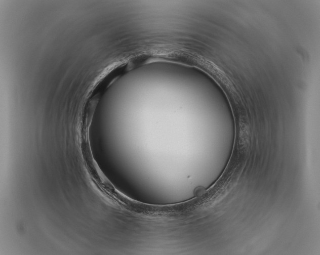 X0000113000530200908271349