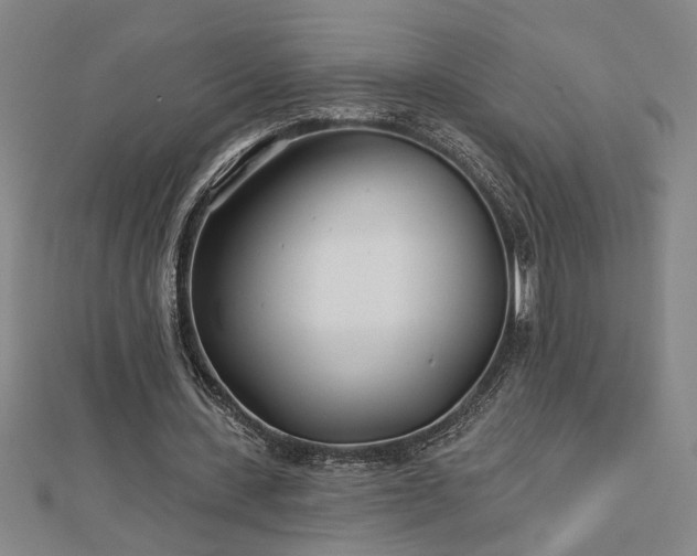 X0000113000531200908271349