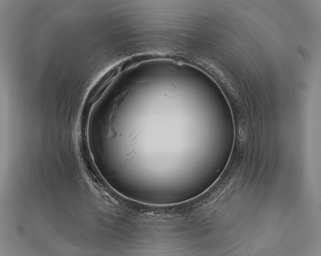 X0000113000532200908271349