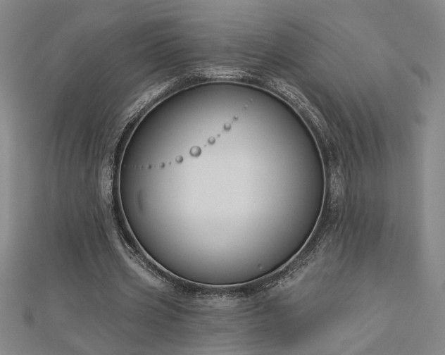 X0000113000533200908271349