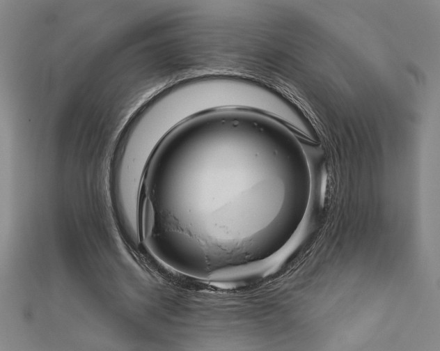 X0000113000534200908271349