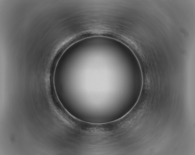 X0000113000535200908271349