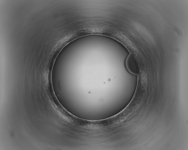 X0000113000537200908271349