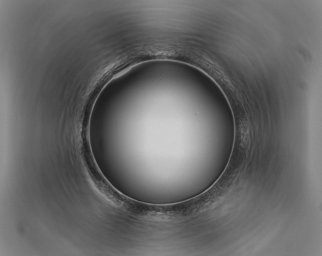 X0000113000538200908271349