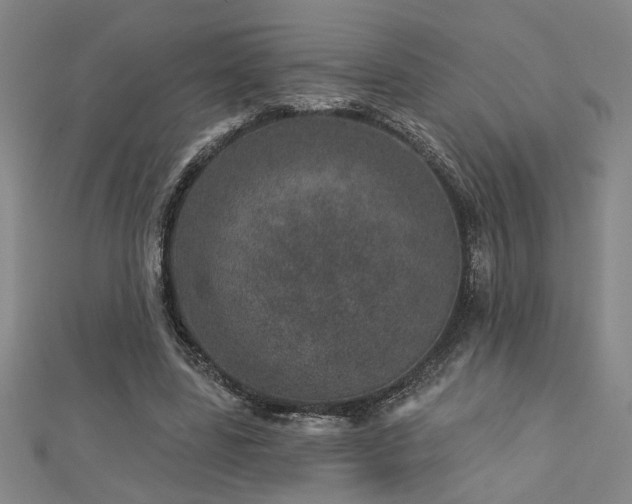 X0000113000539200908271350